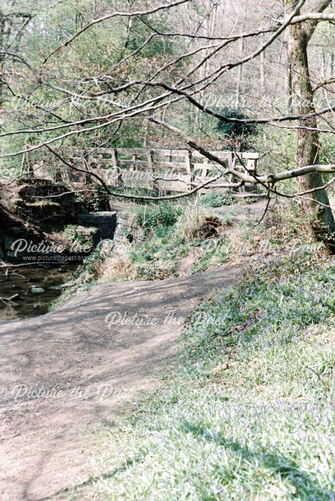 Moss Valley Woods and Bridge