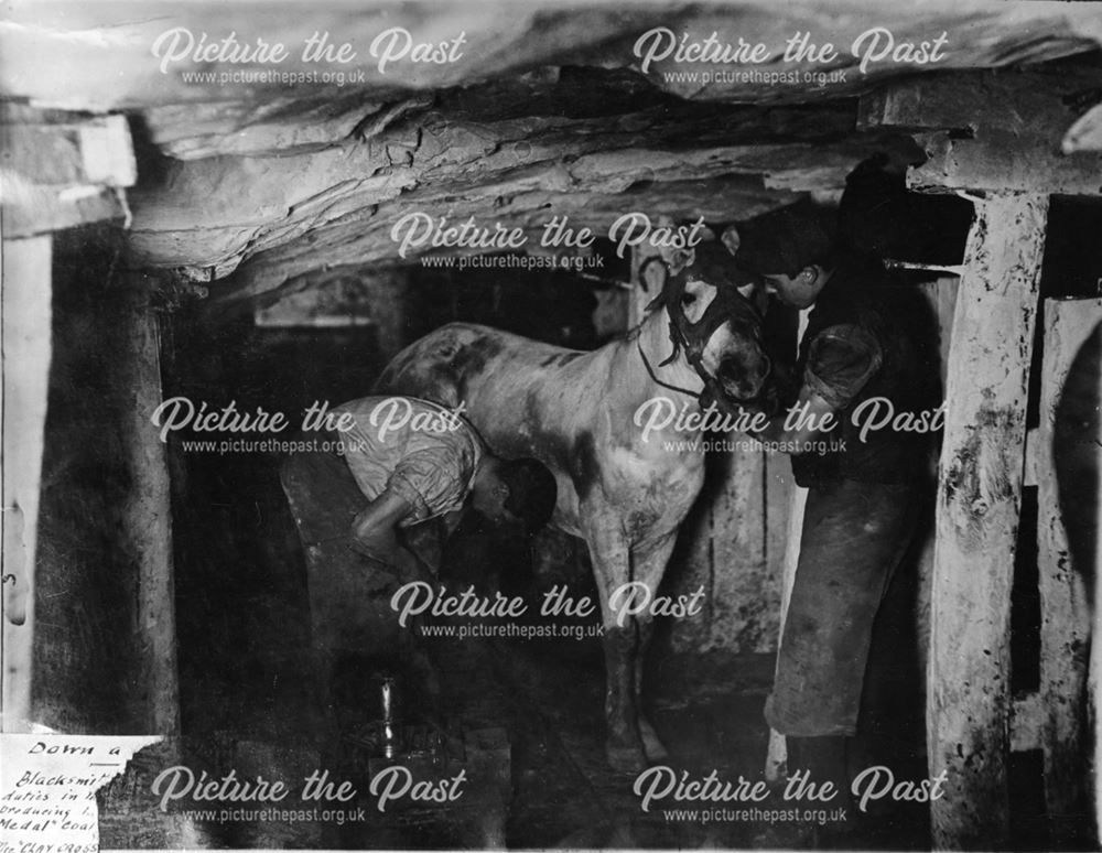 A Blacksmith and his striker attending a pit pony, Clay Cross Colliery, No 2 pit, c 1910