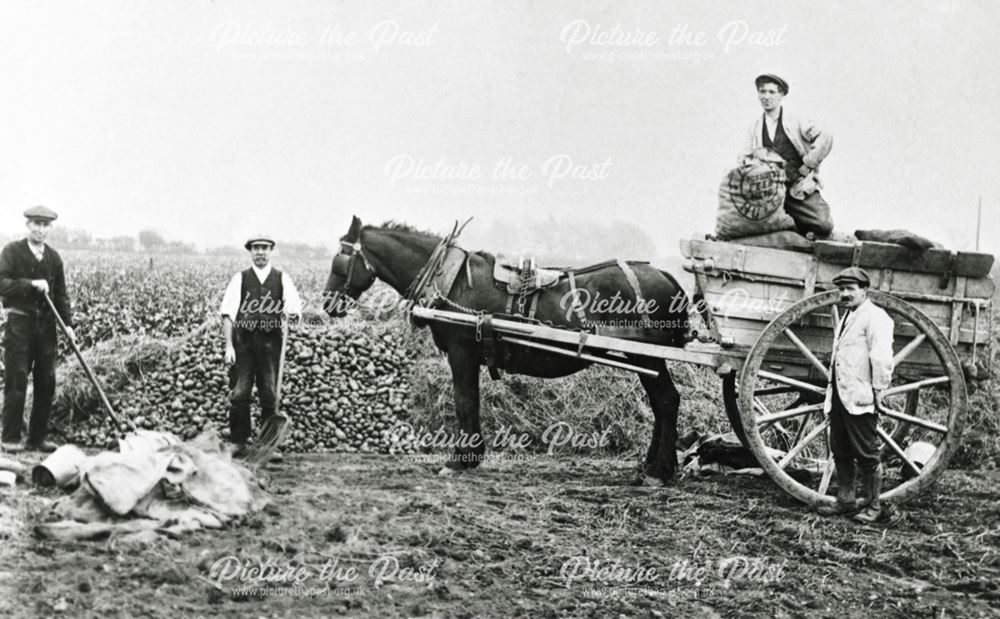 Members of the Siddall family with a horse and cart on their farm, Breaston, 1930s