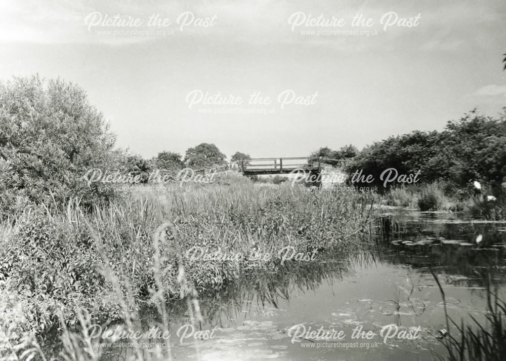 Derby Canal near Cottage Farm, Breaston, c 1950s ?