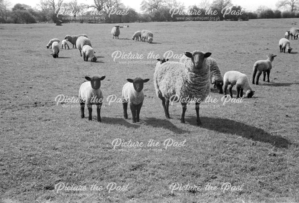 Home Farm, Bilsthorpe