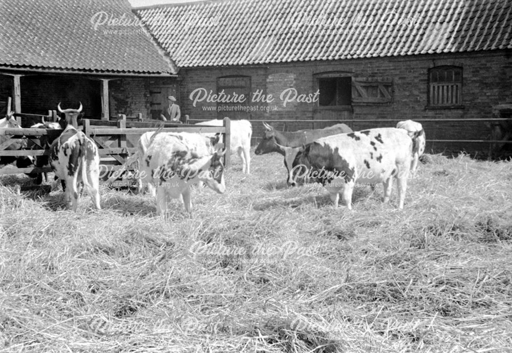 Home Farm, Bilsthorpe