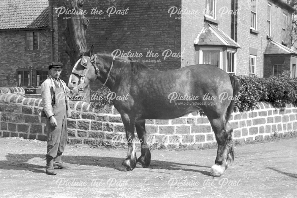 Home Farm, Bilsthorpe