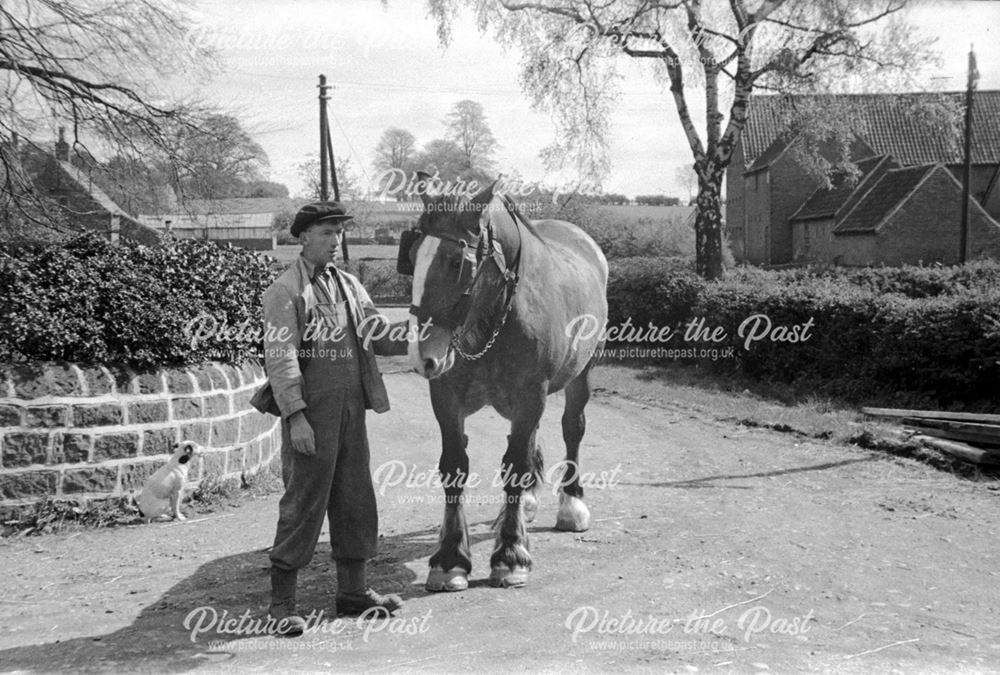 Home Farm, Bilsthorpe