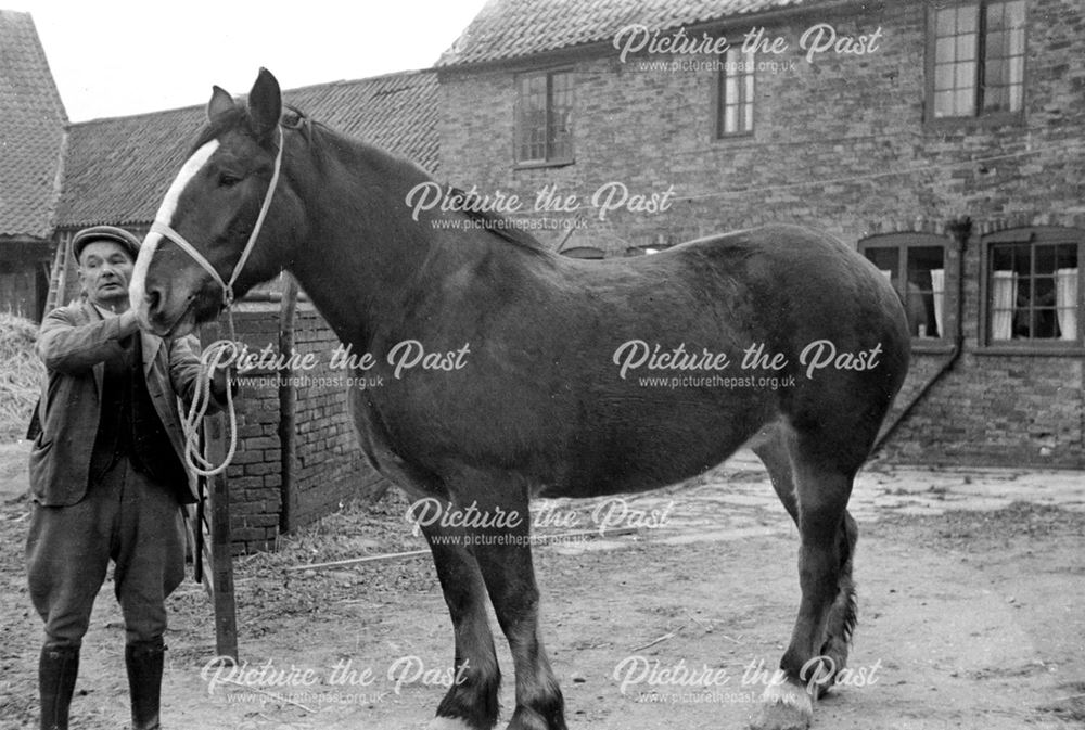 Home Farm, Bilsthorpe