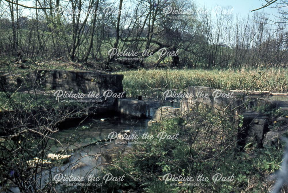 Head of Nutbrook Canal, Little Hallam, Ilkeston, 1971