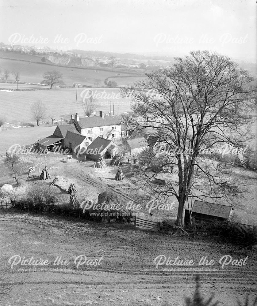 Columbine Farm, nr Dale, c 1950?