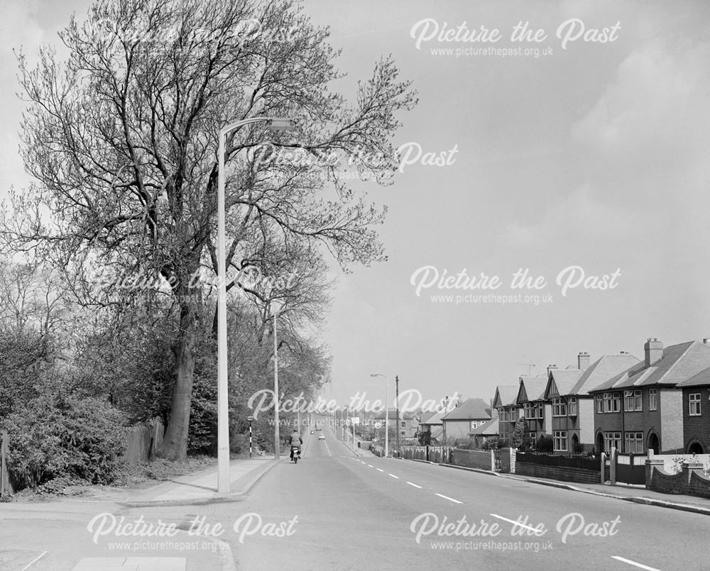 Stanton Concrete Lampposts, Heanor Road near Shipley Common, Ilkeston, c 1950s-1960s