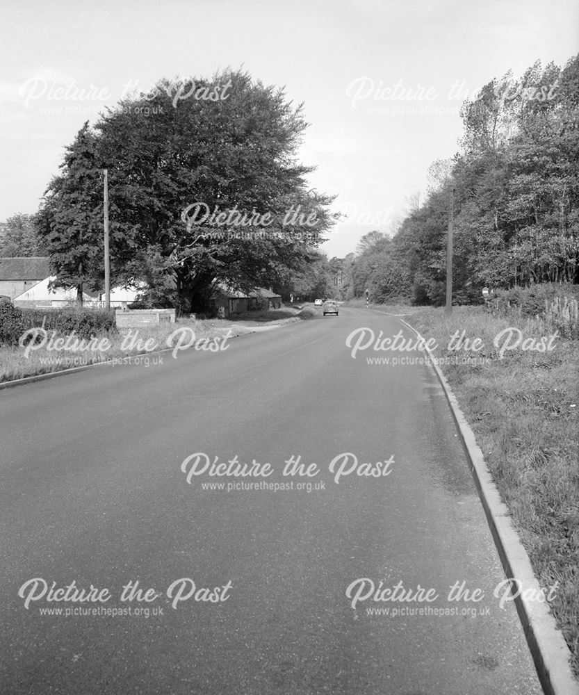 Re-Surfaced Road, Mansfield Road (A60), Bestwood, Nottingham, c 1950s