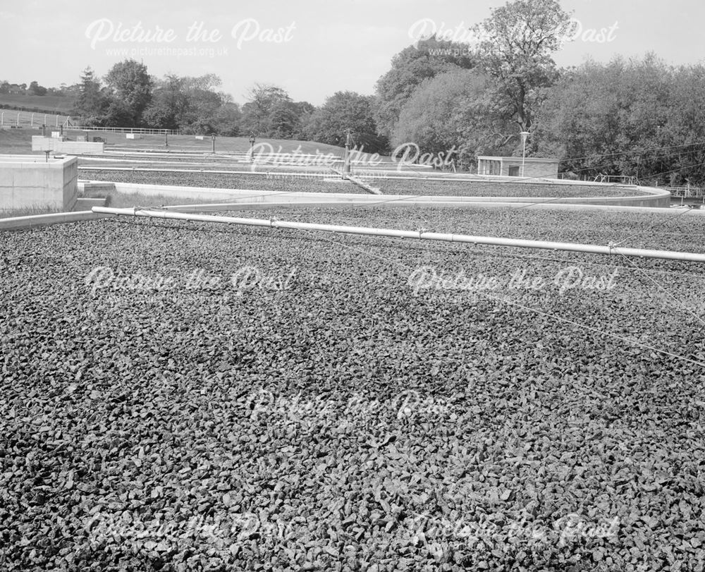 Sewage Treatment plant, Trowell