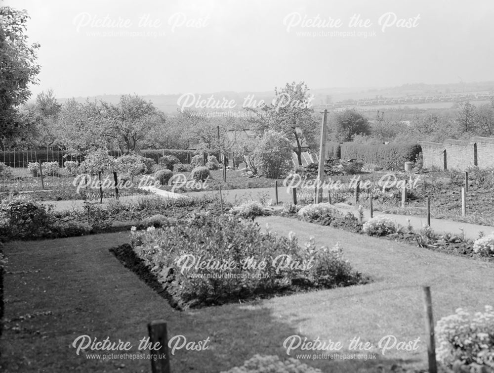 A Stanton Works House Garden, High Lane East?, Stanton by Dale, c 1950s