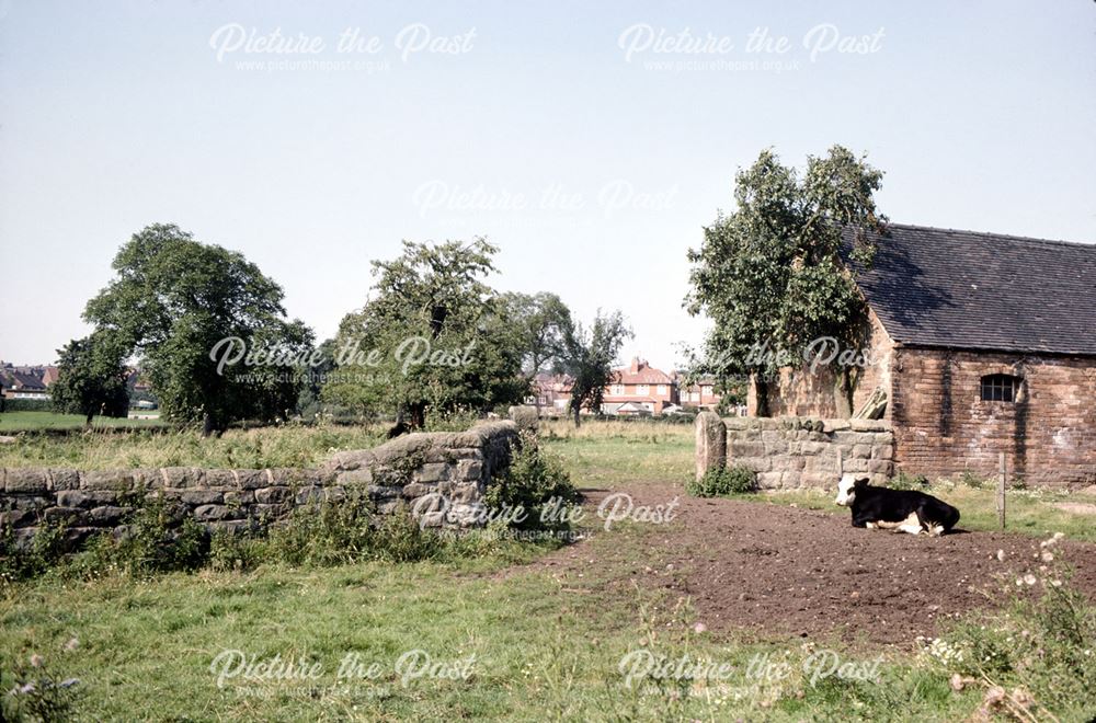 Outbuildings and field at Hollies Farm, Allestree