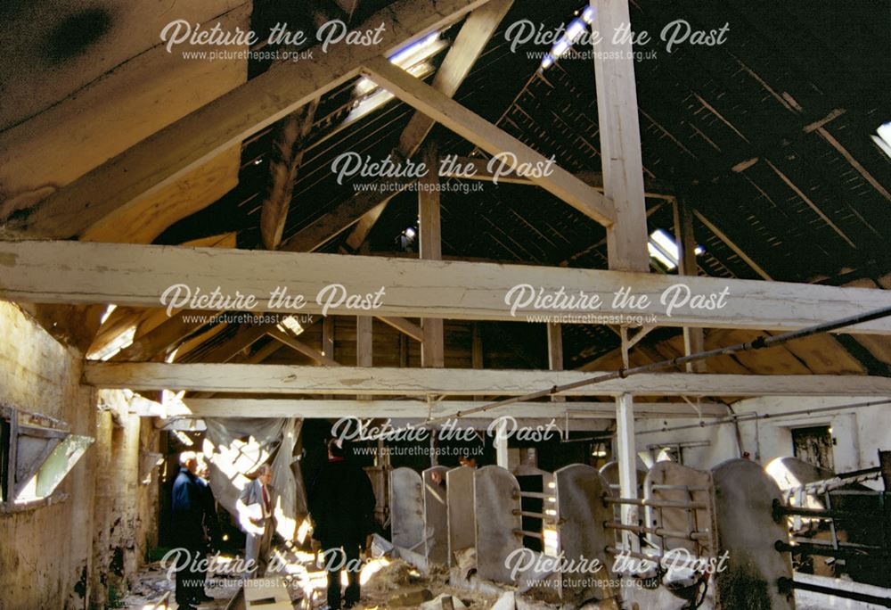 Interior of derelict cattle shed at Cotton's Farm