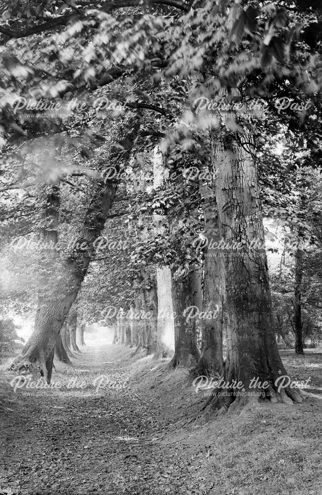 Strutt's Park, Derby, 1880