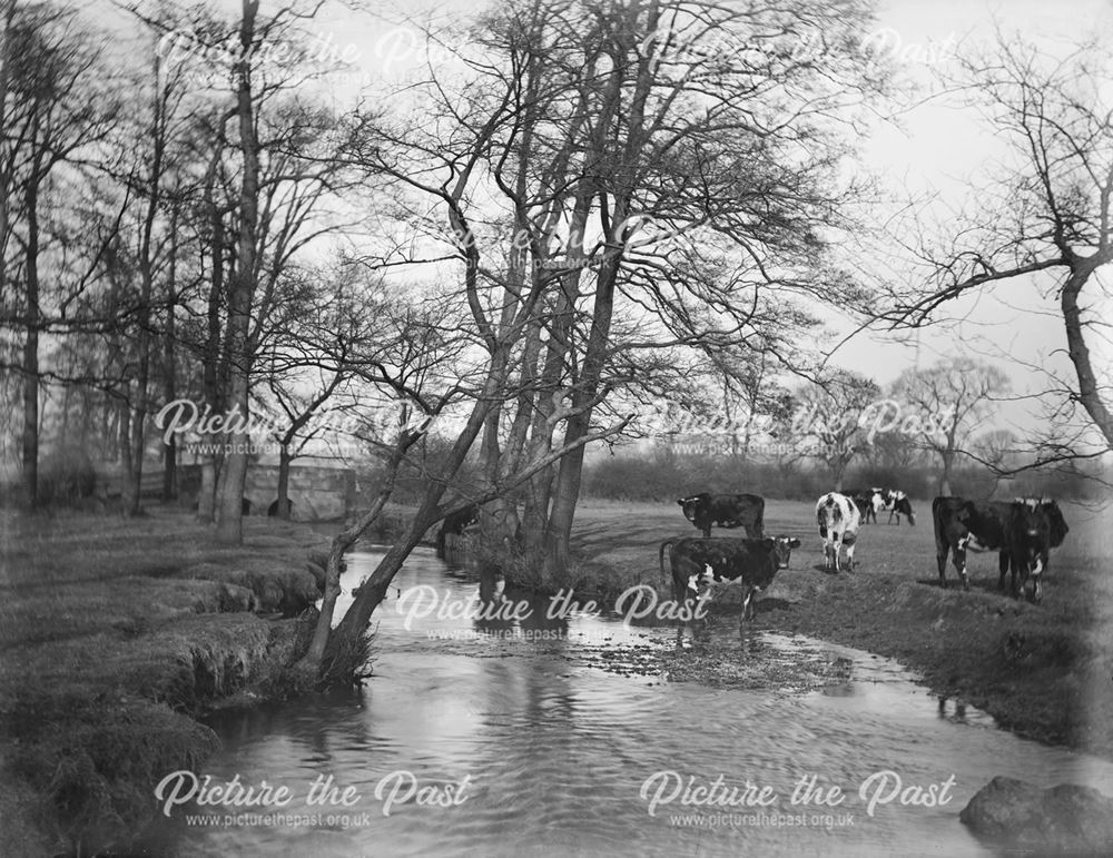 Markeaton Brook, Markeaton Lane, Derby, 1880s