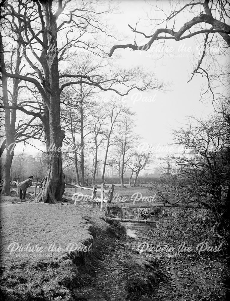 Markeaton Brook, Markeaton Lane, Derby, 1880s