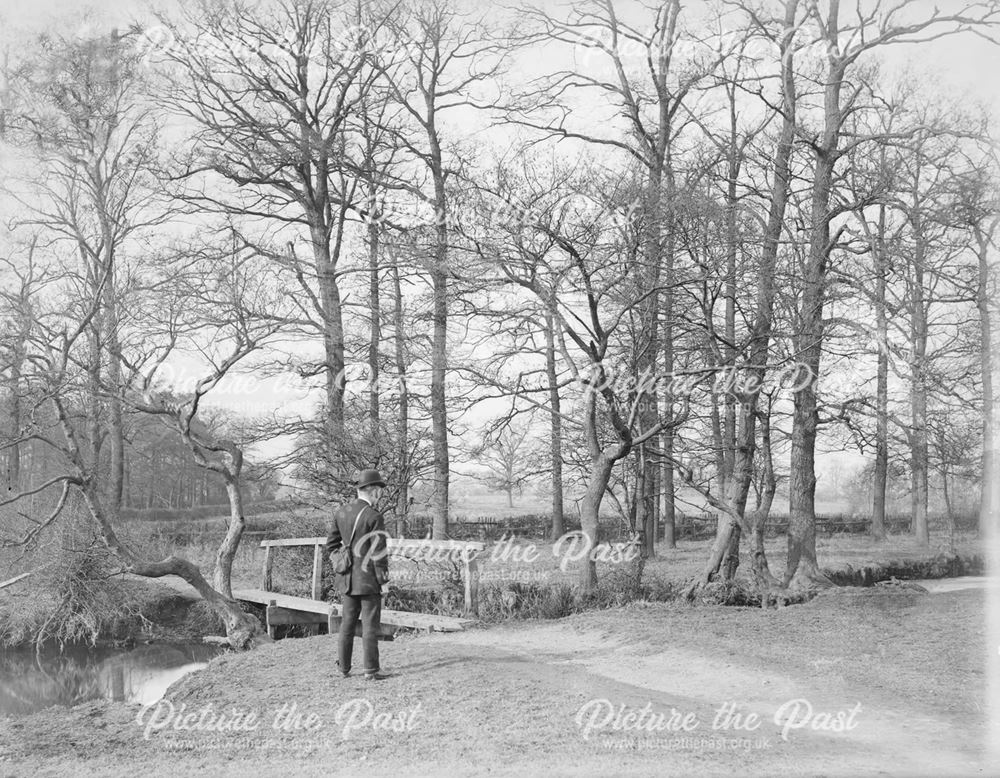 Markeaton Brook, Markeaton Lane, Derby, 1880s