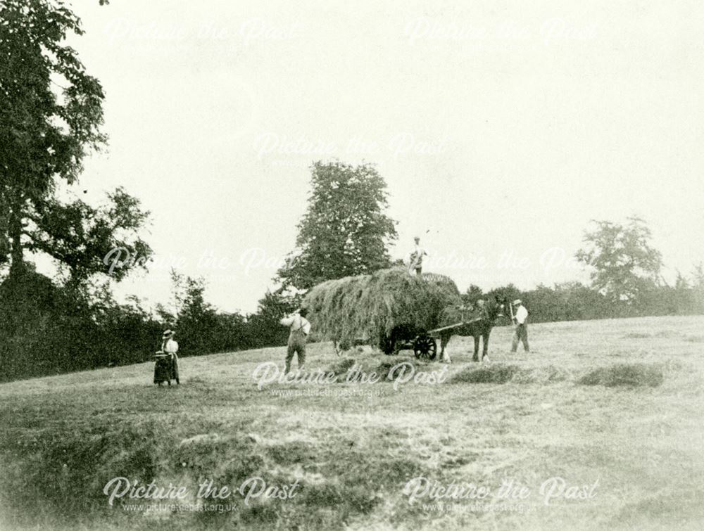 Hay Field near Allestree