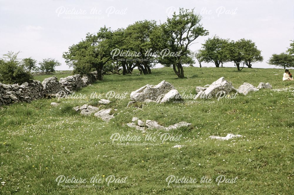 Green Low Ringcairn Burial Chamber