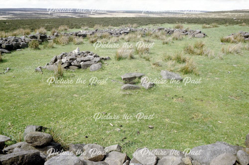 Bar Brook 2 Cairn and cist