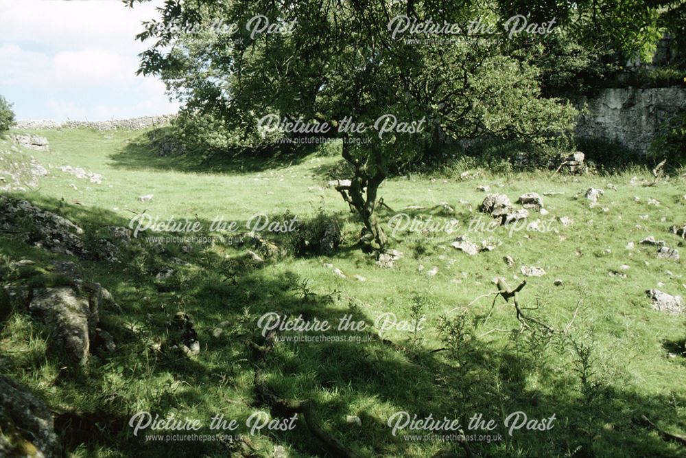 Roman and Medieval site near Pilsbury, terraces