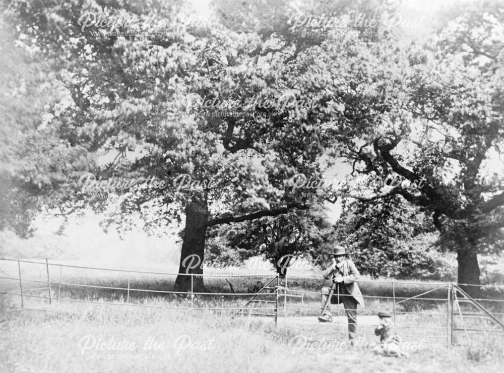 Derwent Bank, from near the pavilion