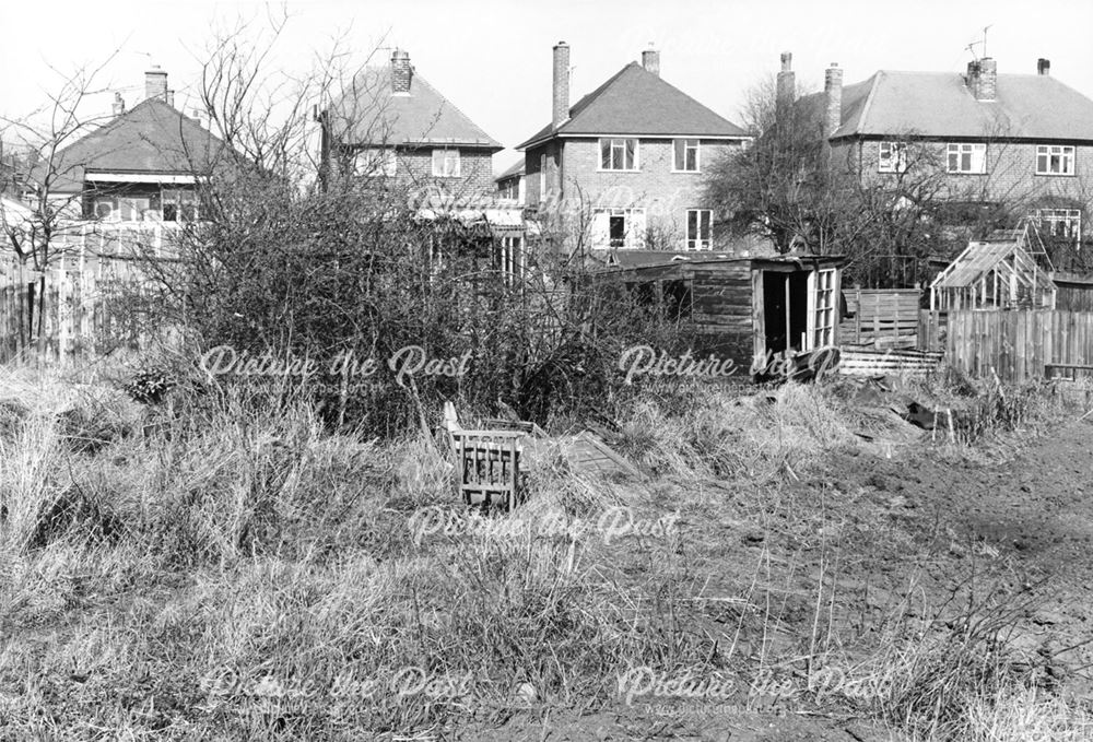 Old Allotments before construction site development, Albany Road