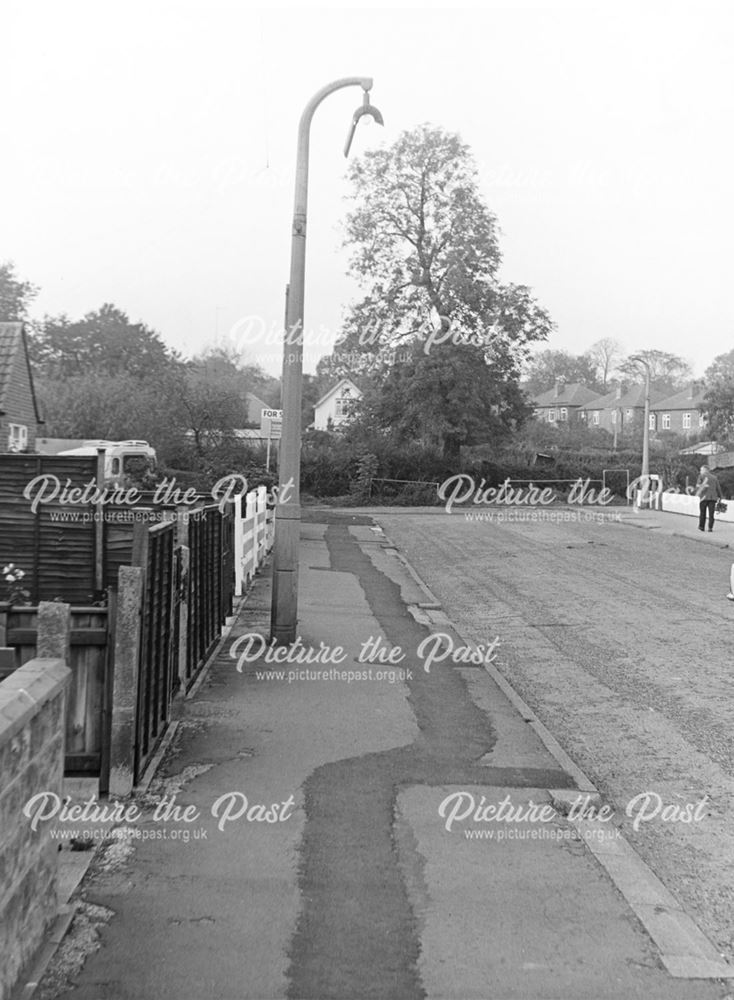 Street lamp outside no. 9, Brooklands Drive (Glyndales)