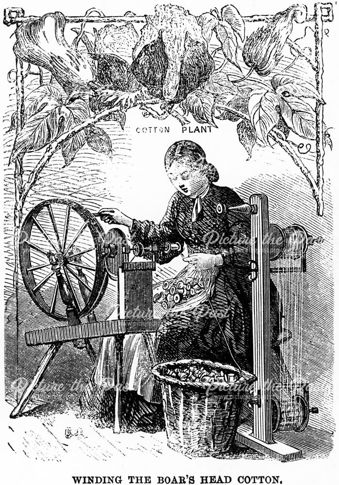 'Winding the Boar's Head Cotton'