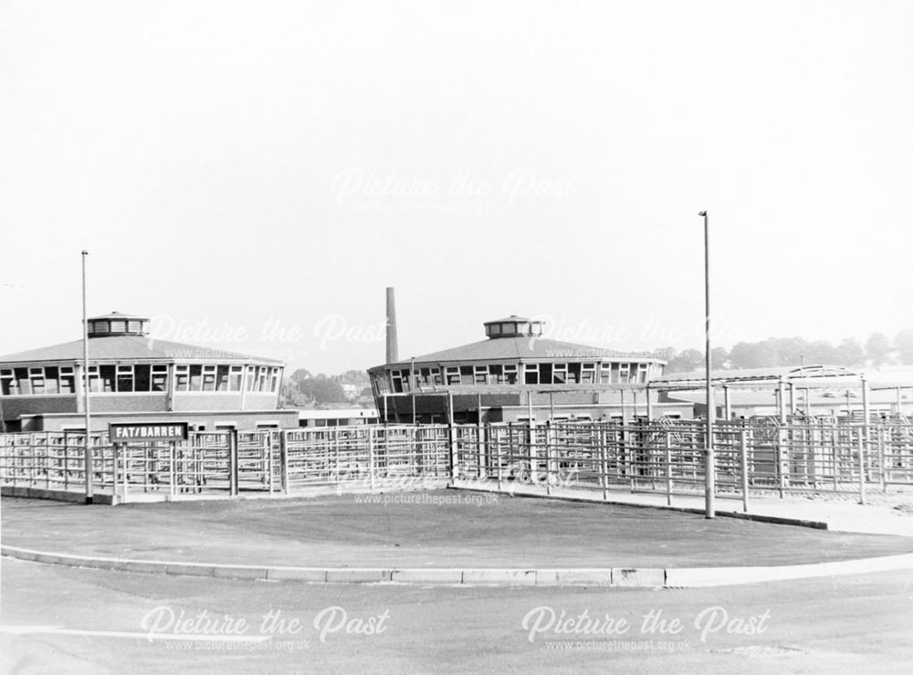 New Cattle Market, The Meadows