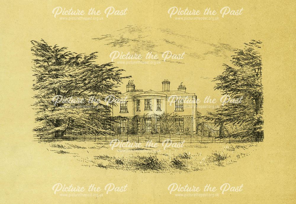 'The Parkfield Cedars, Derby'