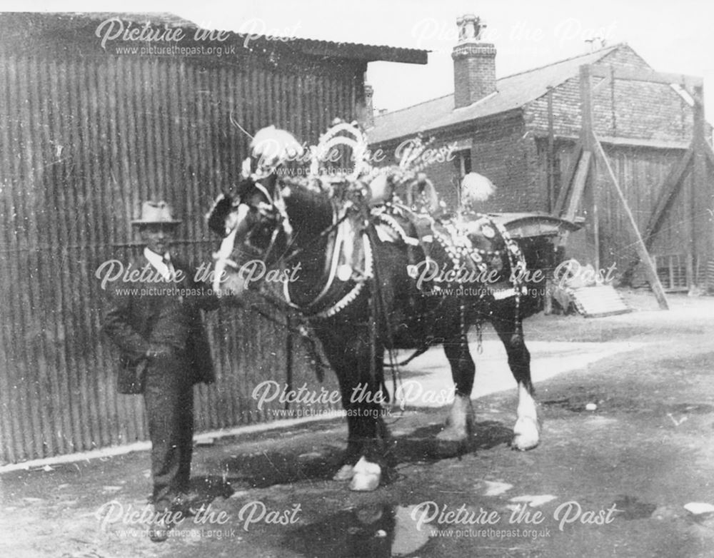 AC Poulson with Decorated dray horse, Derby, c 1929