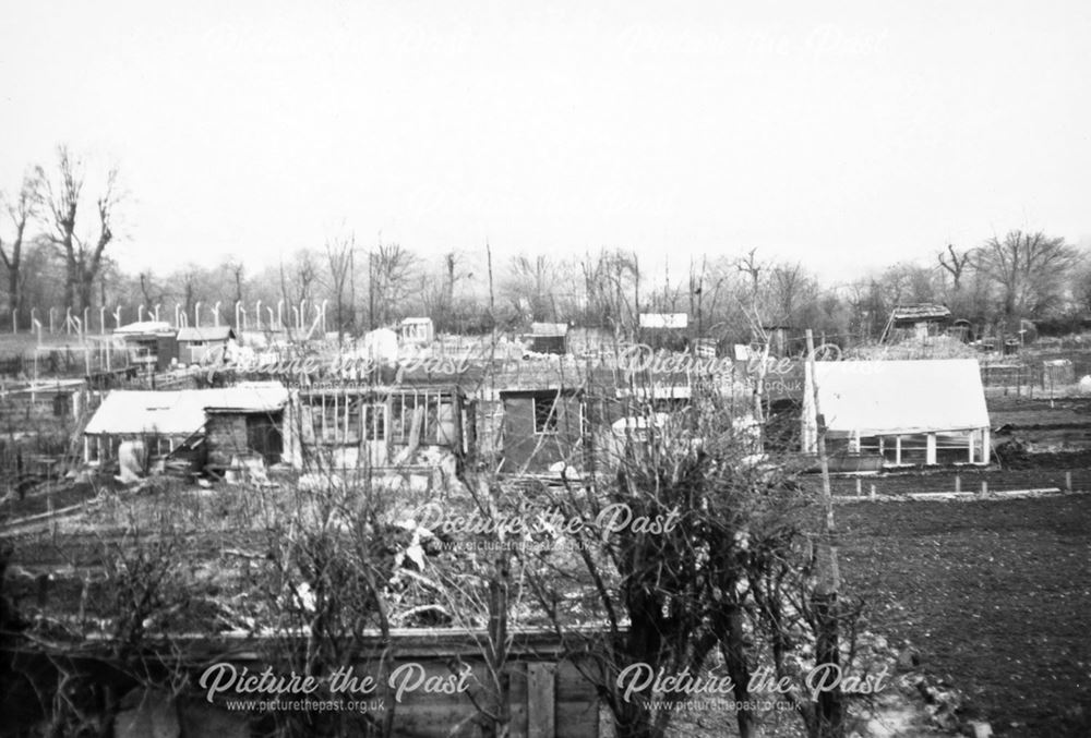 Allotments in the Colville Street