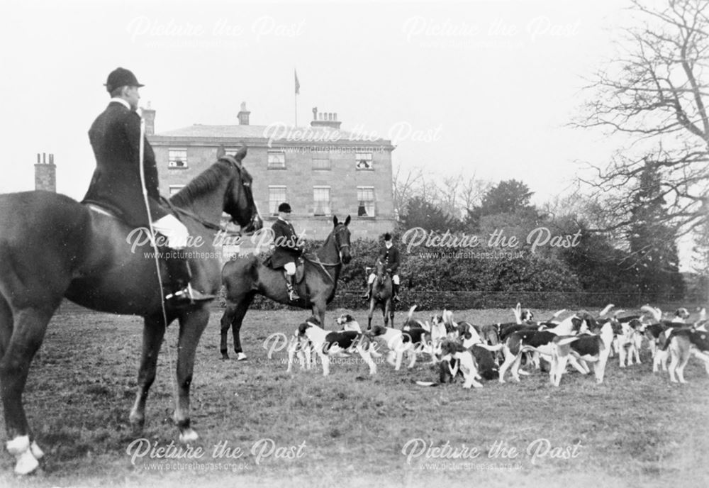 Meynell hounds at Allestree Hall