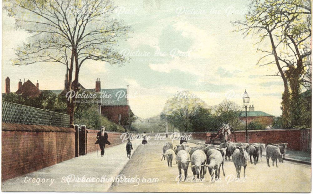 Gregory Street, Lenton, Nottingham, c 1900s