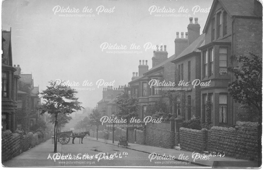 Albert Grove Looking South, Lenton, Nottingham, c 1900s