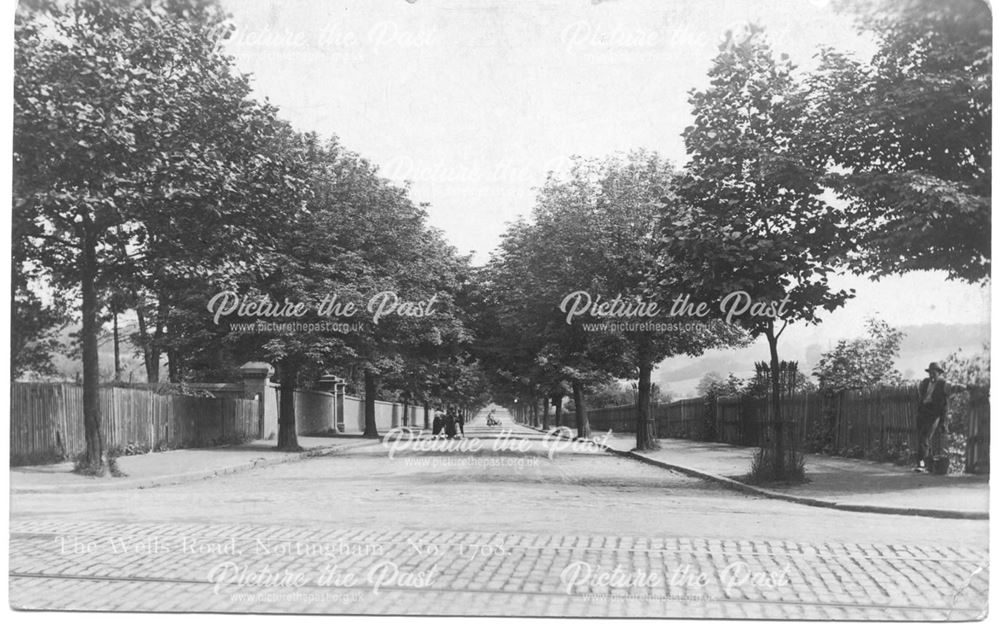 The Wells Road, Mapperley, Nottingham, c 1900s