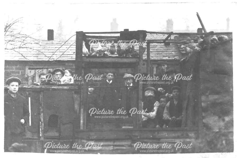 Pigeon loft and group of young men