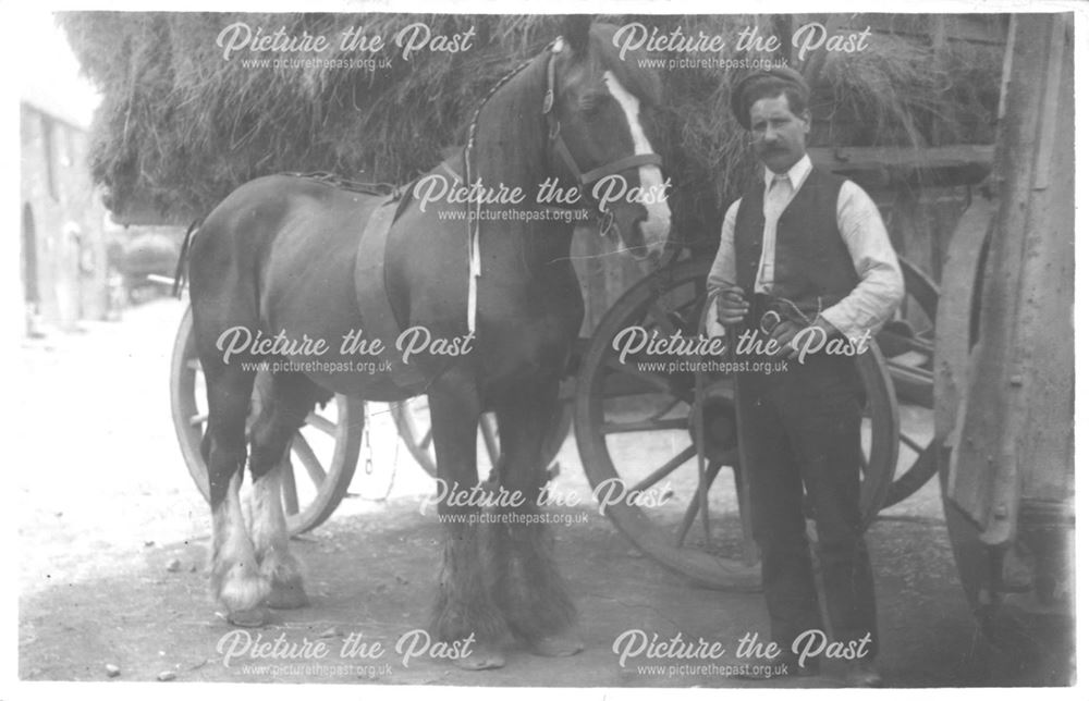 Man with beribboned horse in front of large hay cart