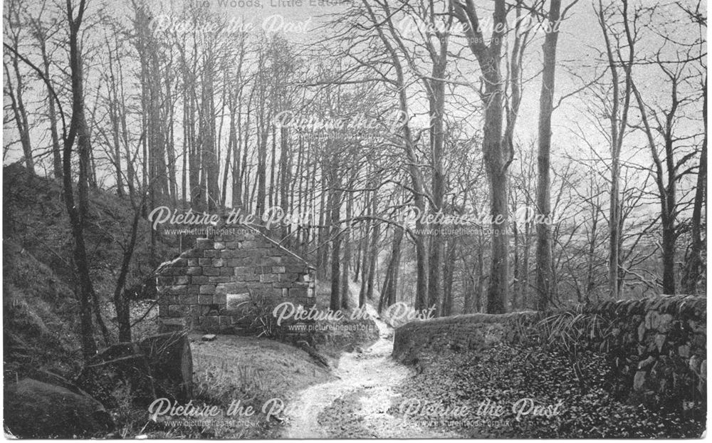 a road track winding through woodland with small building on left