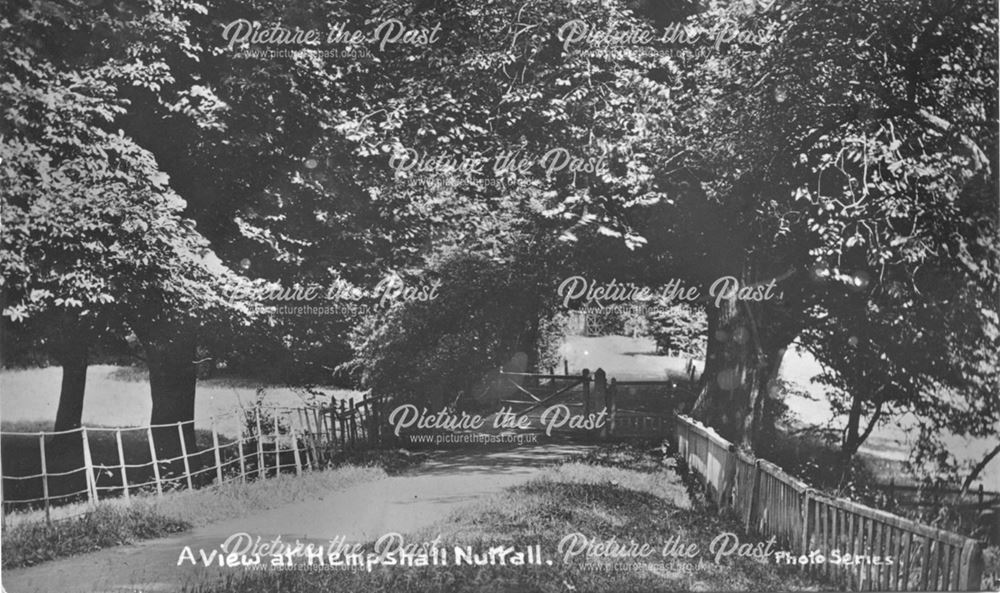 A View at Hempshall, Nuthall