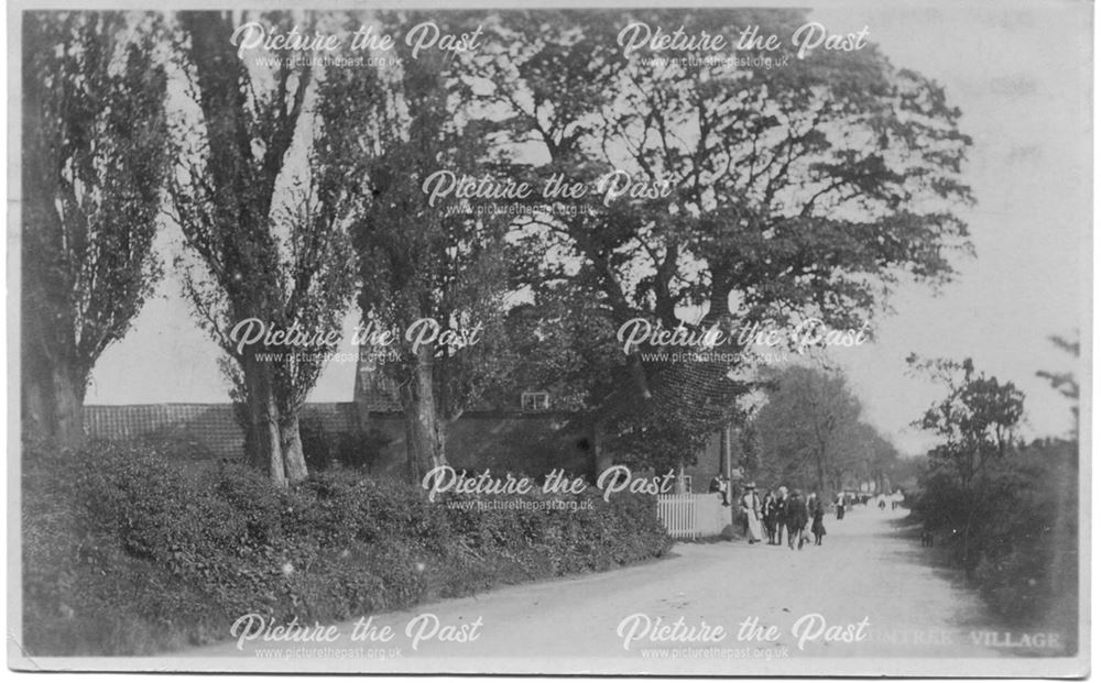 Station Road, Plumtree, c 1900