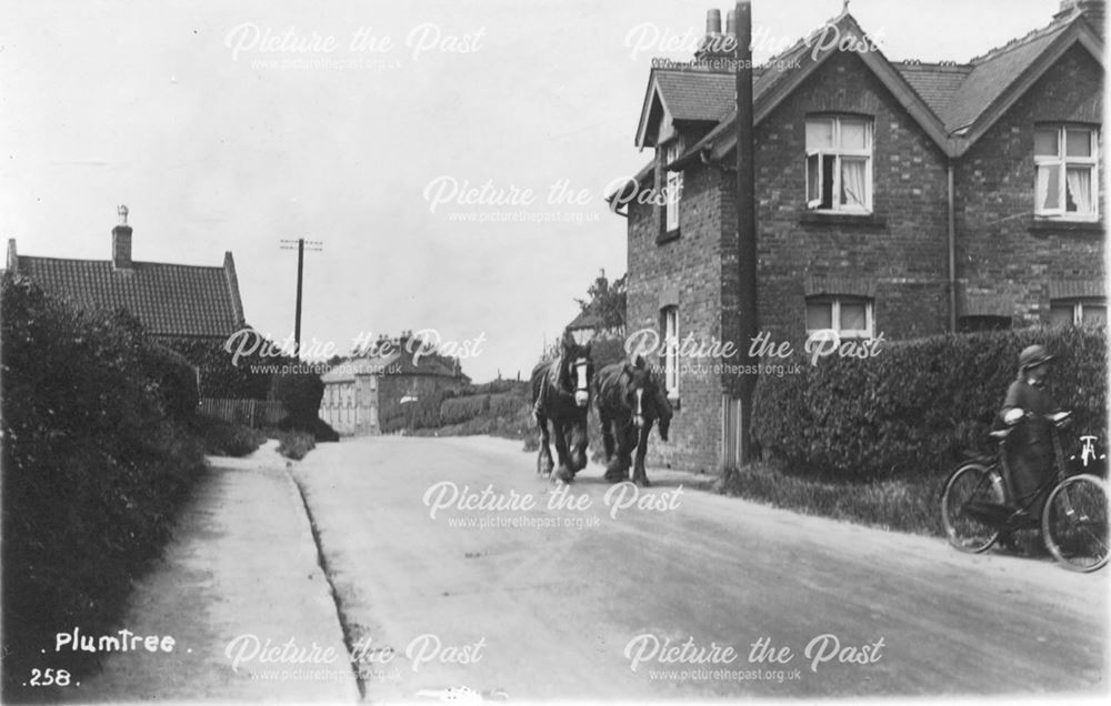 Main Road, Plumtree, c 1920