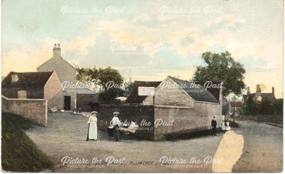 Main Road, Plumtree, c 1900