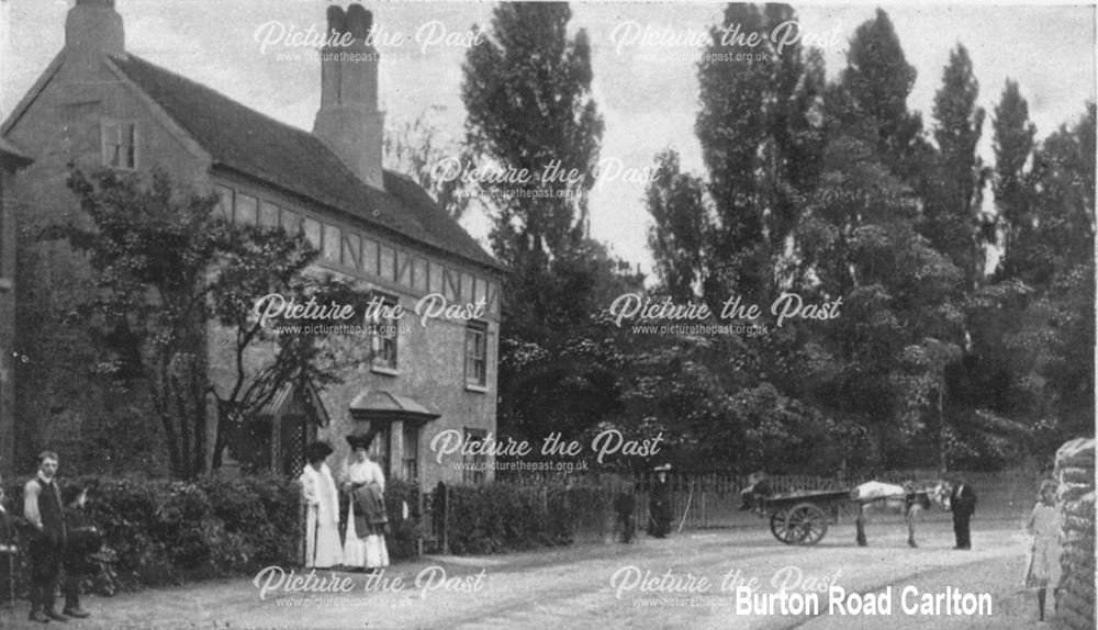 Burton Road, carlton