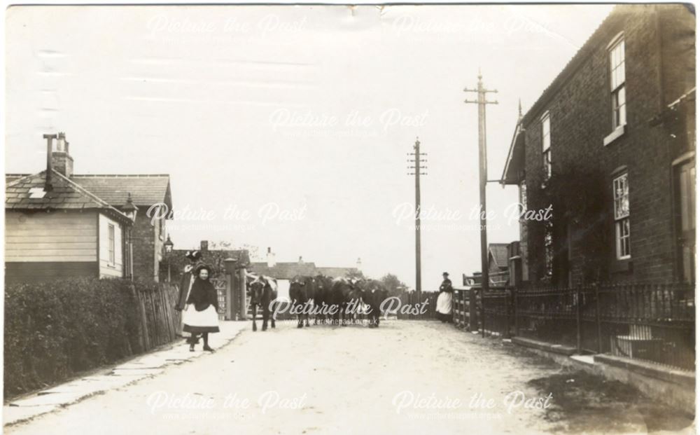 Railway Crossing, Cottam