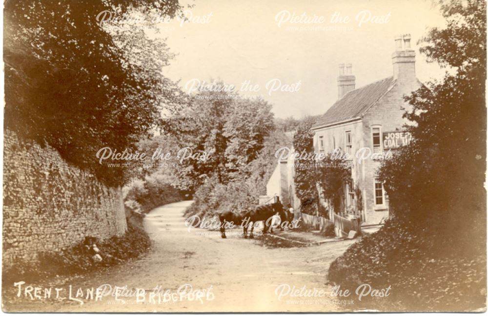 Trent Lane, East Bridgford, c 1900s