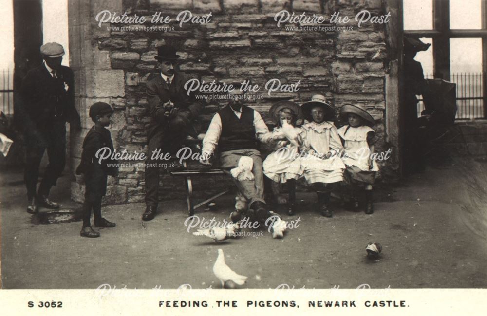 Feeding the pigeons, Newark Castle