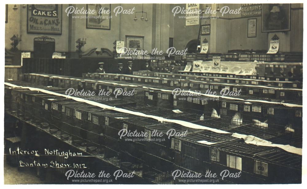 Nottingham Bantam Show, 1912 - interior