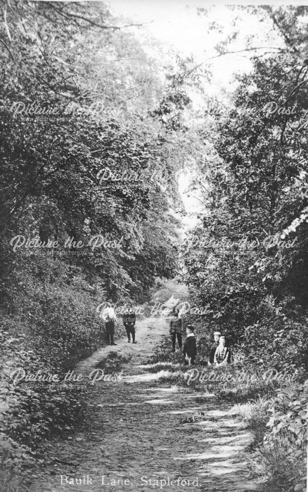 Baulk Lane, Stapleford, c 1900s